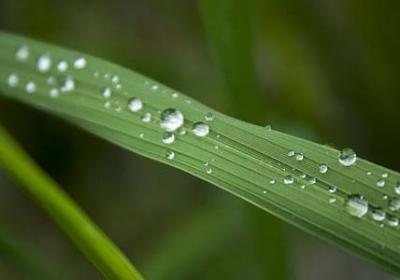 错组词有哪些词语(合集41句) 错组词有哪些词语(合集41句)