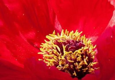 爱眼护眼的名言(合集80句)