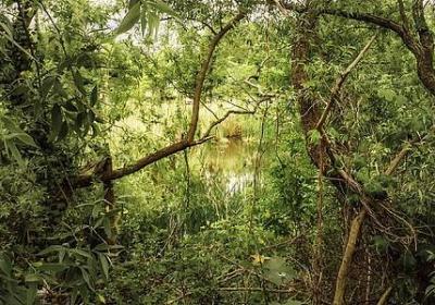 母爱和父爱的名言(汇总50句)