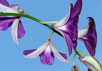 永不言败的名言(精选50句)