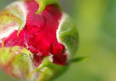 爱祖国的名言名句(热门50句)