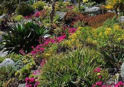 热爱读书的名言警句(精选80句)