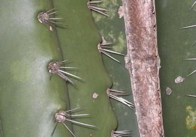 生活的名人名言(精选20句)