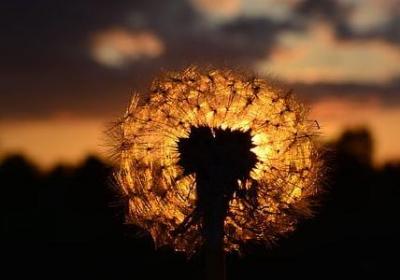 珍惜生命的名言名句(60句)