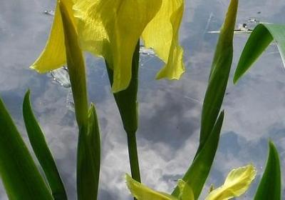 珍惜时间名言名句(优选120句)