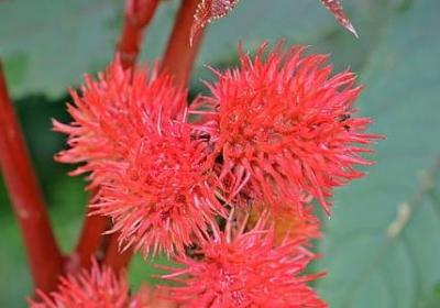 榜样的名言警句(精选50句)