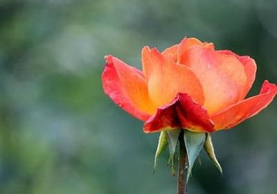 现代名人名言(通用50句)