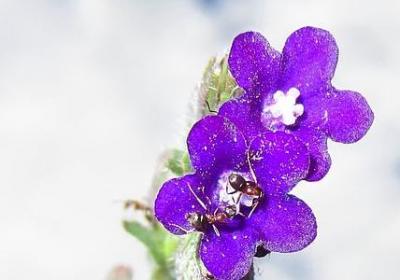 目光长远的名言(推荐60句)