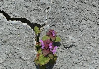 珍惜生命的名言(推荐50句)