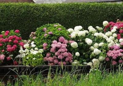 清正廉洁的名言警句(热门60句)