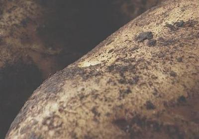 珍惜时间的名人名言(热门40句)