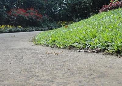 生活警句名言(通用72句)