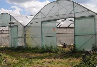 珍爱生命的名言名句(合集70句) 珍爱生命的名言名句(合集70句)