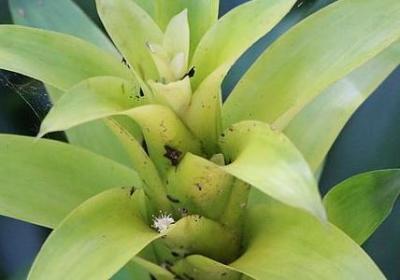 珍惜朋友的名言(优选80句) 珍惜朋友的名言(优选80句)