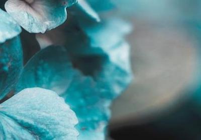 自省的名言警句(60句)