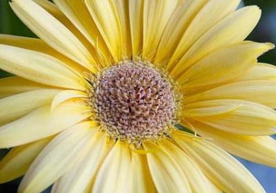 敞怎么组词语(通用50句)