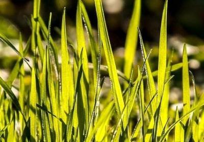 描写游戏场面的词语(实用70句) 描写游戏场面的词语(实用70句)