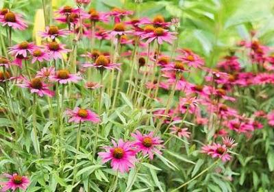 描写着急的四字词语(汇总50句) 描写着急的四字词语(汇总50句)