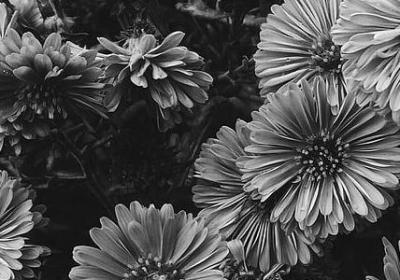 描写生活的词语(汇总60句)