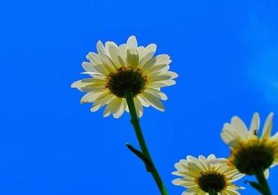 时字组词有哪些词语(共47句) 时字组词有哪些词语(共47句)