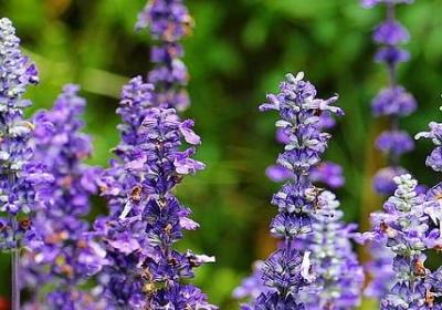 杭的四字词语(共10句)