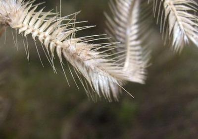 比喻式的词语(实用60句)