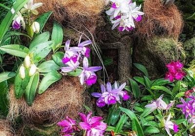 段组词有哪些词语(汇总12句)