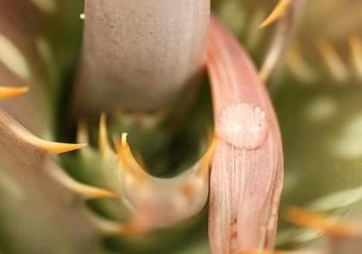 有关安全的词语(优选50句)