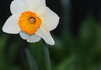 有关月的词语(汇总81句)