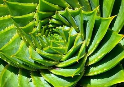 爵多音字组词语(共60句)