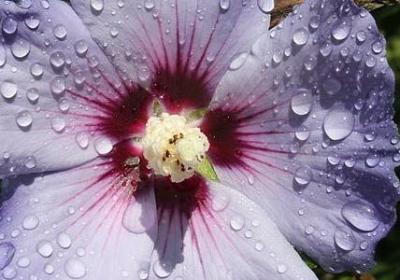 炕组词语成语(精选20句)