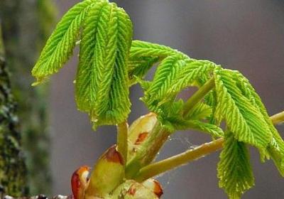 照样子写词语花花绿绿(热门60句)