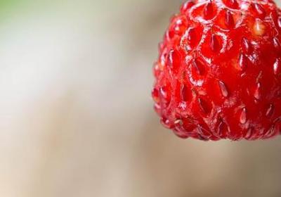 汉语词语步步为营(通用60句)