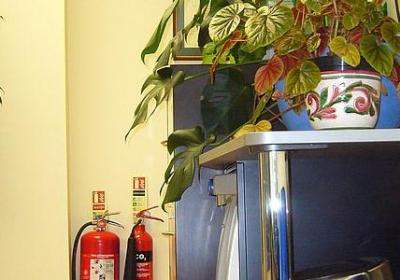 游哇游写词语(热门31句)