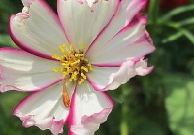 没什么没什么的词语(热门12句)