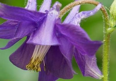 照样子写词语沉甸(优选60句)