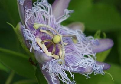 源源不断写词语(汇总80句)