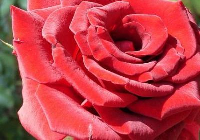 汲组词语有哪些(优选70句)