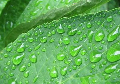 秋天美景的词语(通用41句)