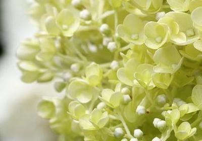 用心组成的词语填空(推荐80句)