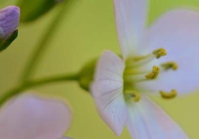 祝孙子生日快乐的词语(59句)