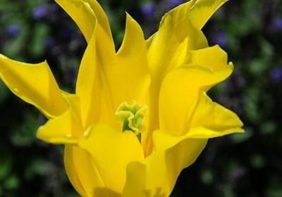 眨呀眨的类似的词语(热门50句)