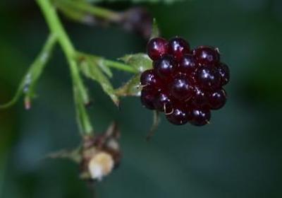 甜甜的什么词语(优选50句)