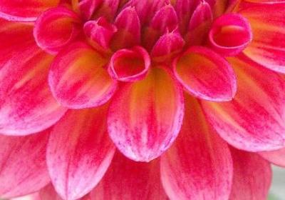 硝怎么组词语(精选40句)