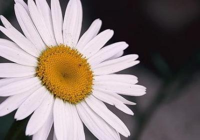 神组词有哪些词语(热门21句) 神组词有哪些词语(热门21句)