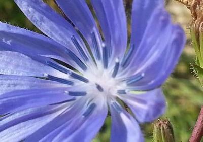 秀可以组什么词语(11句) 秀可以组什么词语(11句)