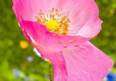 用来比喻事业的词语(40句) 用来比喻事业的词语(40句)