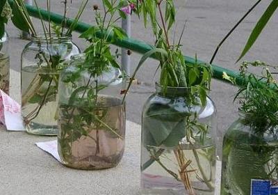 石径是词语吗(合集47句)