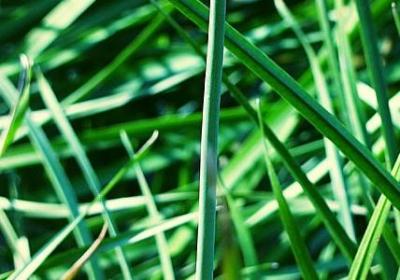 竭换偏旁组词语(精选10句)