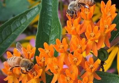 舟怎么组词语(共72句)